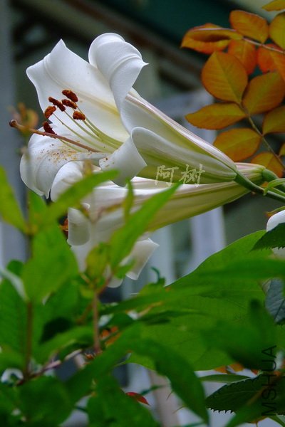 2012-0617(036)ẽ��ٺ�.jpg