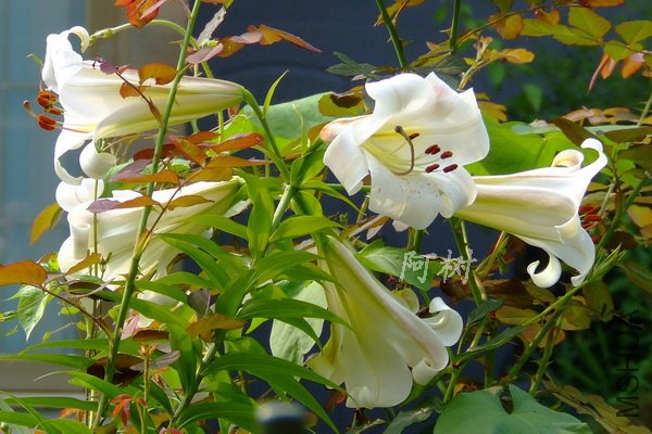2012-0614(036)ẽ��ٺ�.jpg