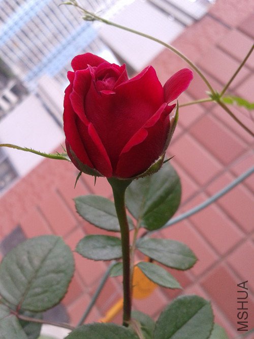 2012-05-29 13.13.51_����_����.jpg