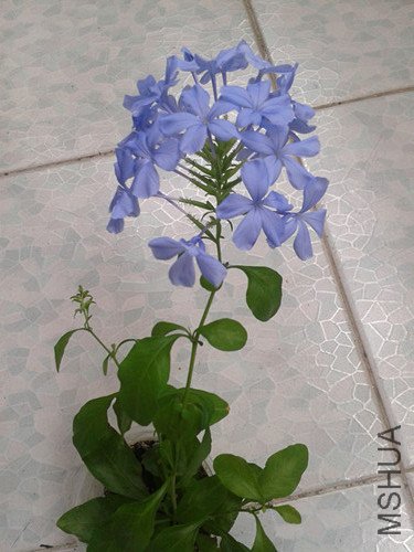 2012-06-17 13.09.37_����_����_����.jpg