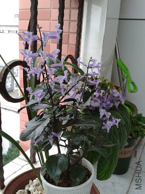 2012-06-12 14.25.17_����_����_����_����.jpg