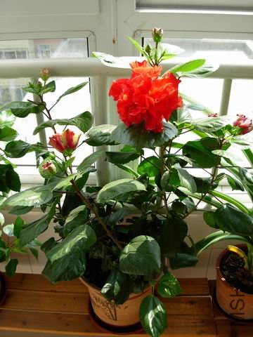 ������С DSCN5753.JPG