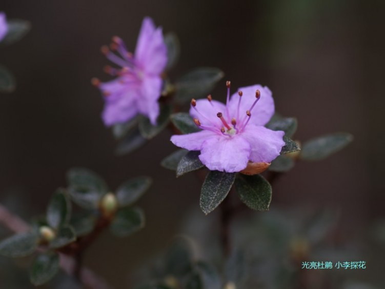 012 �����ž�.jpg