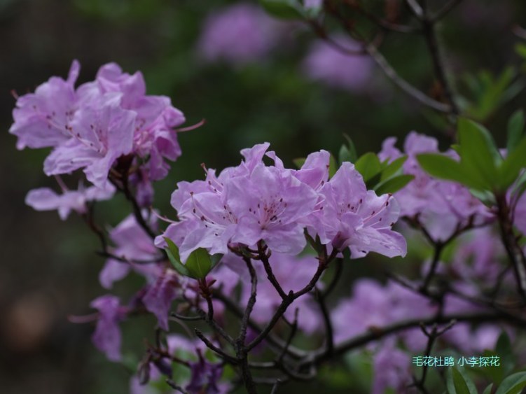 013 ë���ž�.jpg