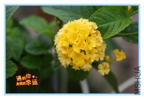 ��Ƭ 178_������2.jpg