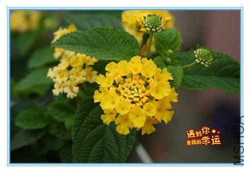 ��Ƭ 179_������3.jpg