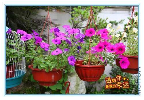 ��Ƭ 067_����ţ.jpg