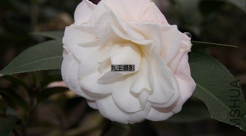nEO_IMG_�軨-��3.jpg