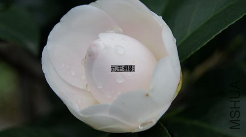 nEO_IMG_�軨-**�ʺ�1.jpg