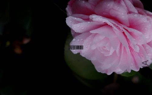 nEO_IMG_10796358_10796358_1331167564796_mthumb.jpg