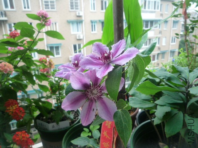 P1050451.JPG