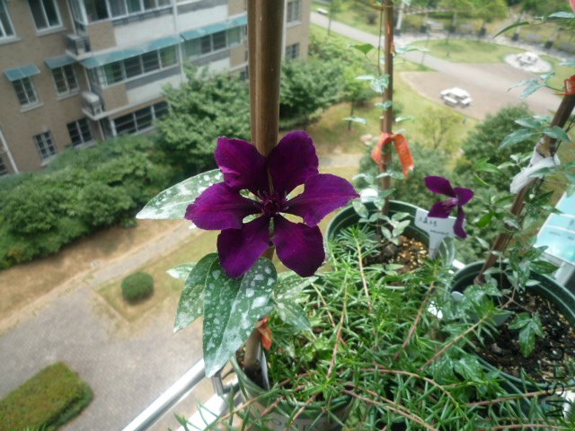 P1050407.JPG