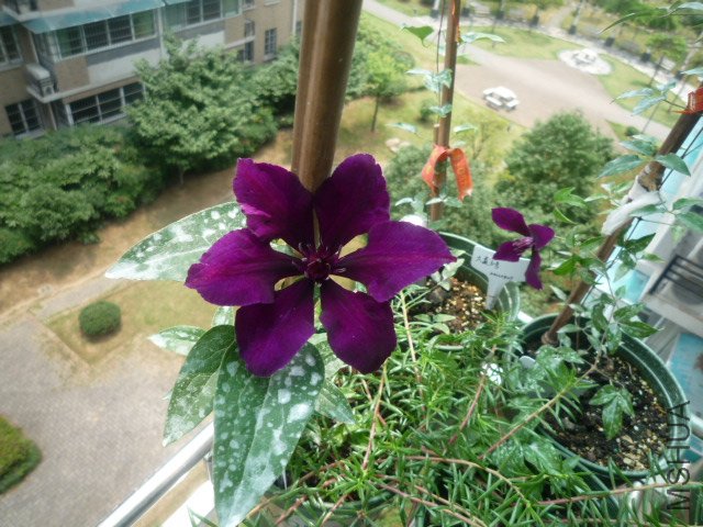 P1050408.JPG