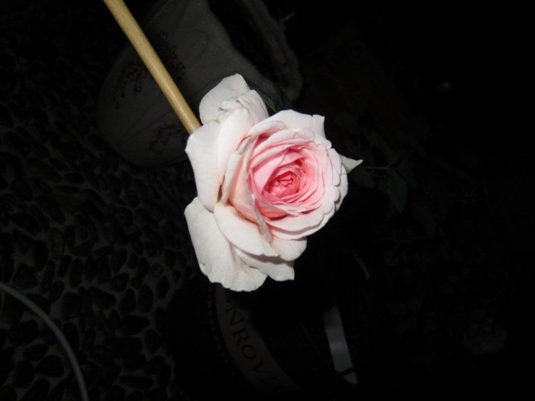 ��Ƭ 032gg.jpg