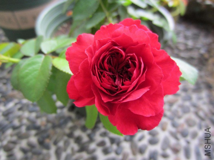 ��Ƭ 051gg.jpg
