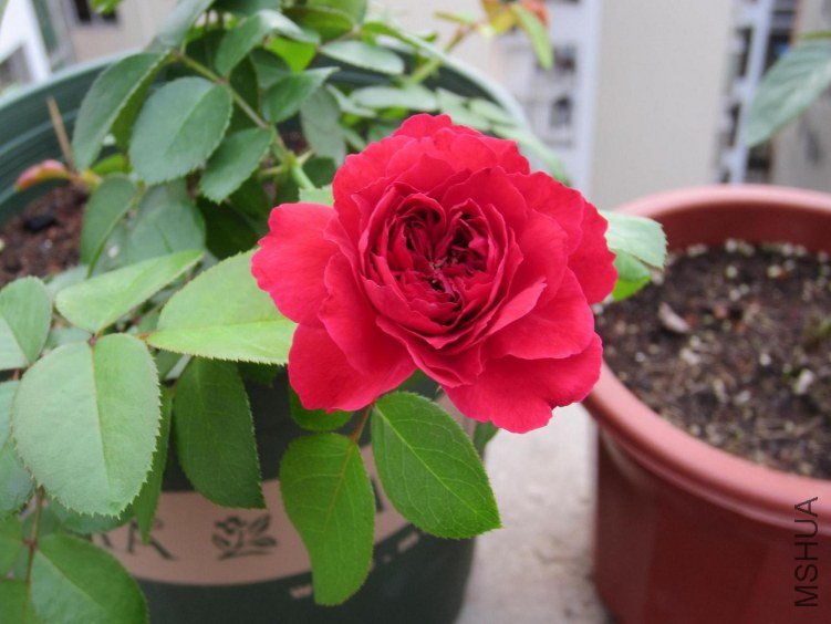 ��Ƭ 056.jpg