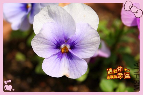 ��Ƭ 031_������2.jpg