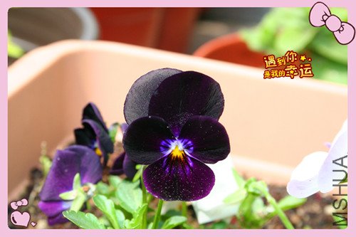 ��Ƭ 033_������4.jpg