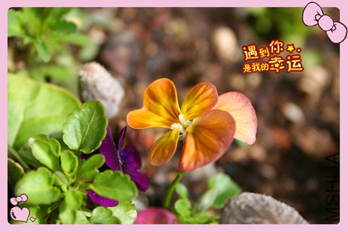 ��Ƭ 034_������5.jpg