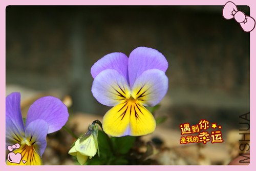 ��Ƭ 035_������6.jpg