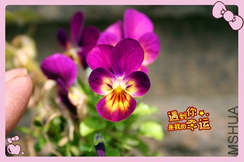 ��Ƭ 039_���� ��7.jpg