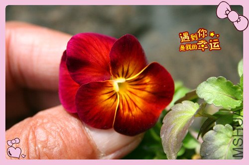 ��Ƭ 042_������8.jpg