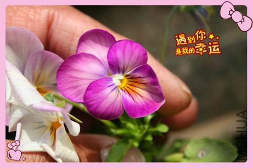 ��Ƭ 046_������9.jpg