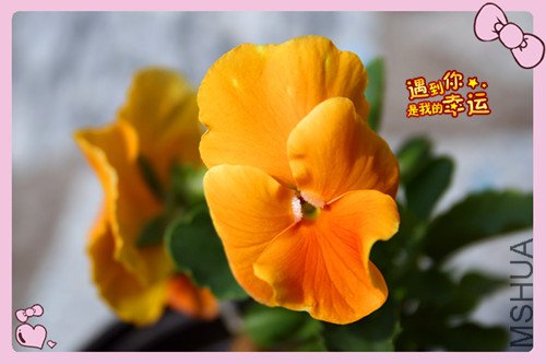 ��Ƭ 056_���� ��10.jpg