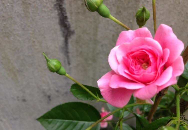 �����͵ķ����