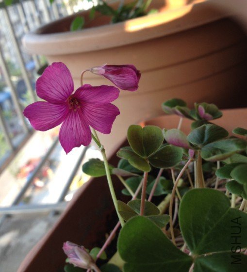 �����͵���