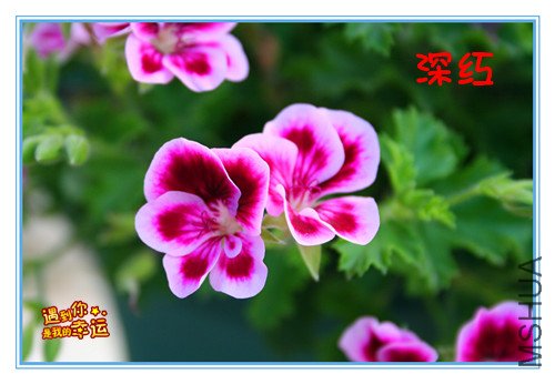 ��Ƭ 095_����ʹ5.jpg