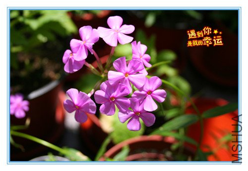 ��Ƭ 029_������.jpg