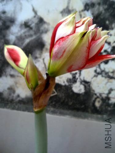 ������С 201204021867.jpg