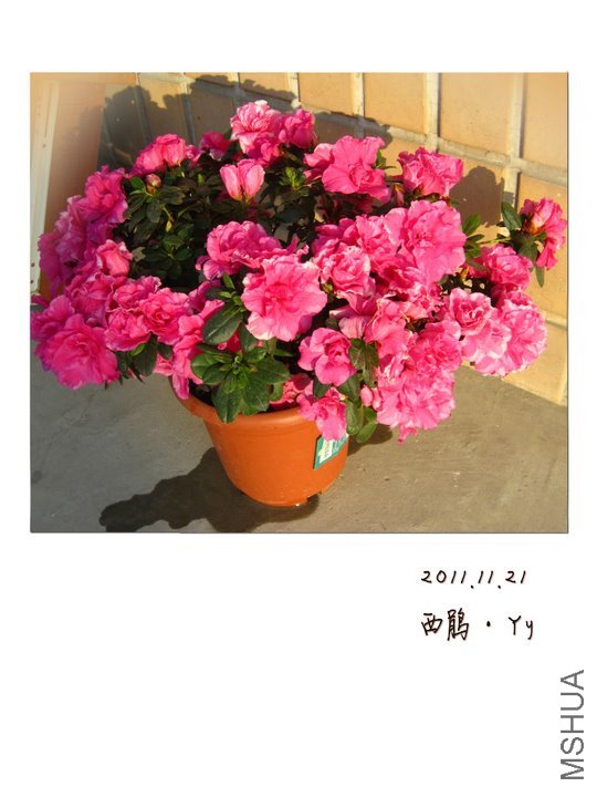 large_cYsT_04a70000d8e0125e.jpg