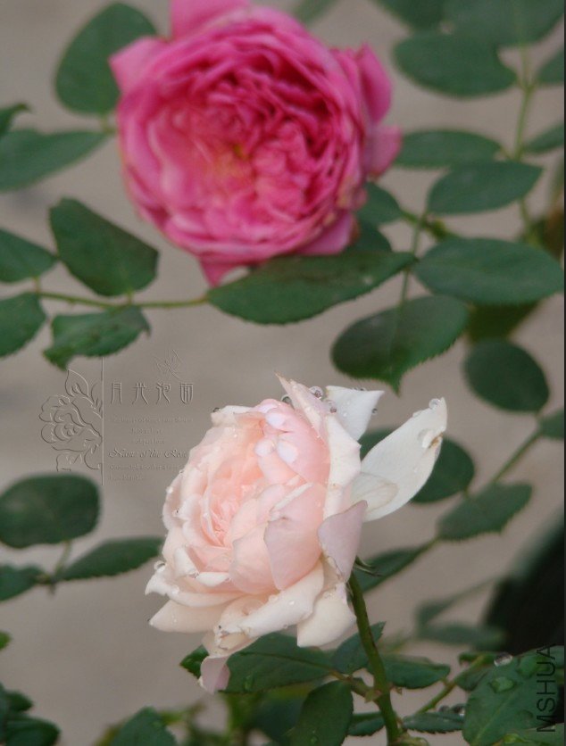QQ��ͼ20120619155150.jpg