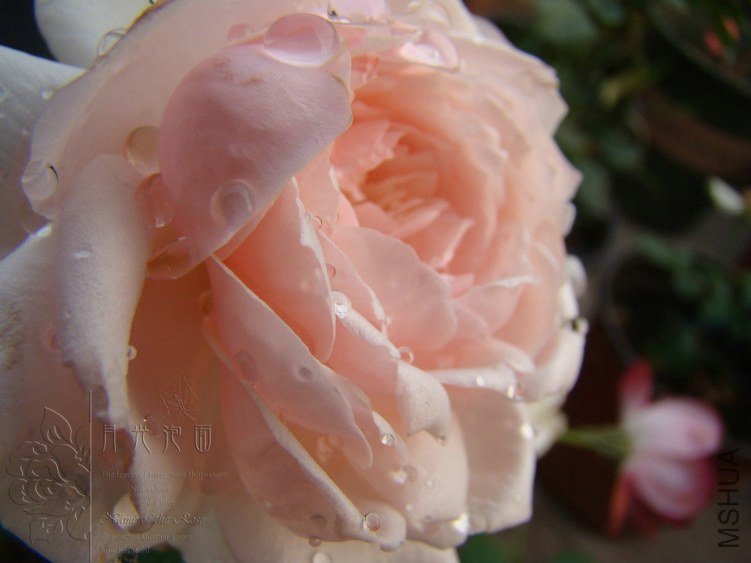 QQ��ͼ20120619155420.jpg