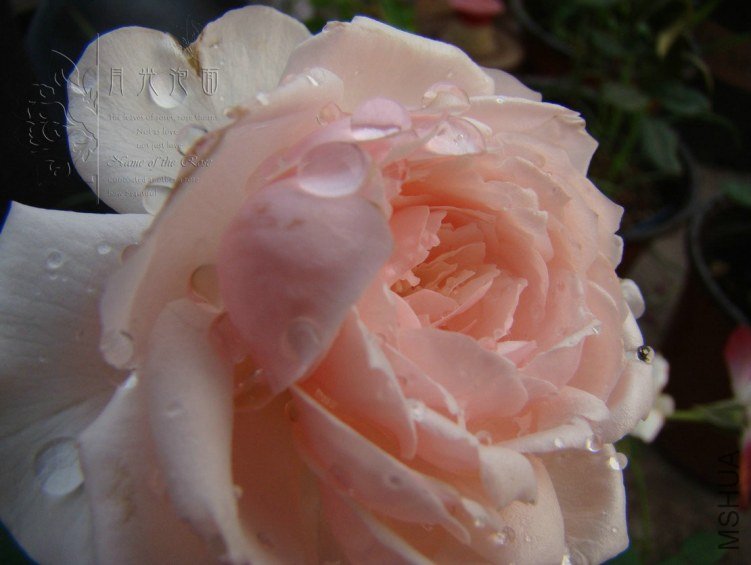 QQ��ͼ20120619155427.jpg