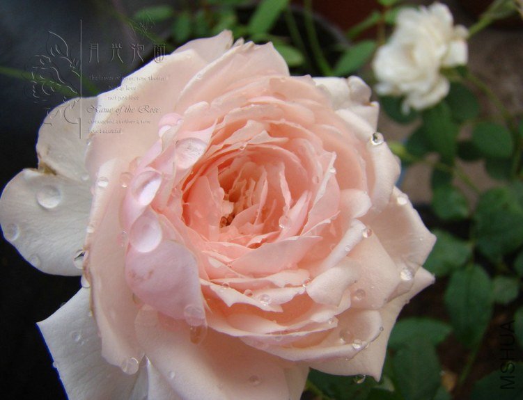 QQ��ͼ20120619155442.jpg