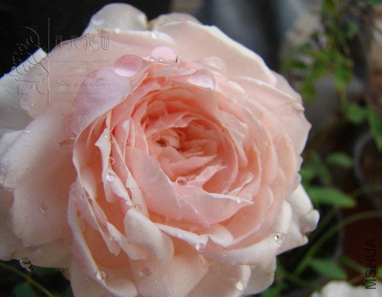 QQ��ͼ20120619155451.jpg