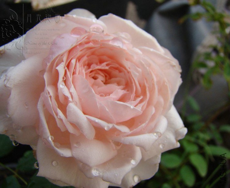QQ��ͼ20120619155458.jpg