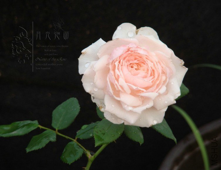 QQ��ͼ20120619155621.jpg