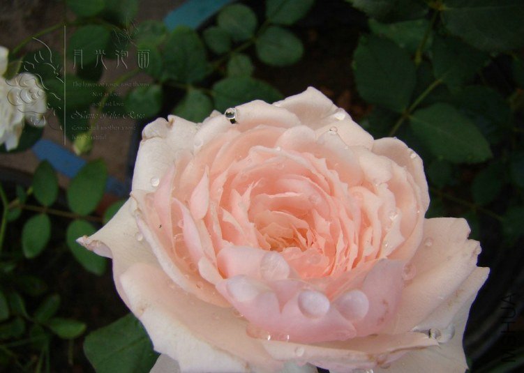 QQ��ͼ20120619155638.jpg