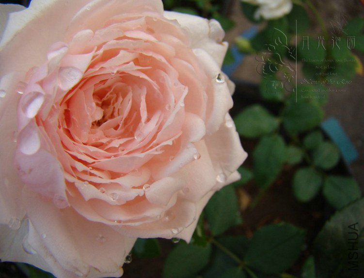 QQ��ͼ20120619155648.jpg