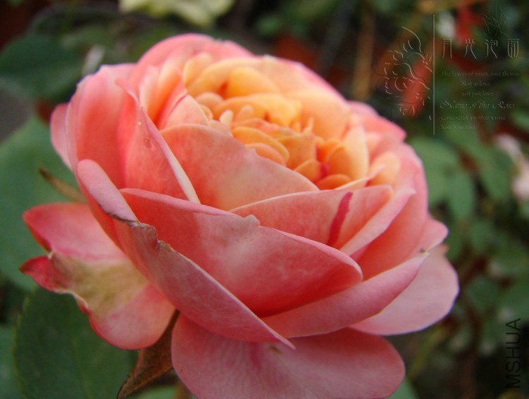 QQ��ͼ20120619155231.jpg
