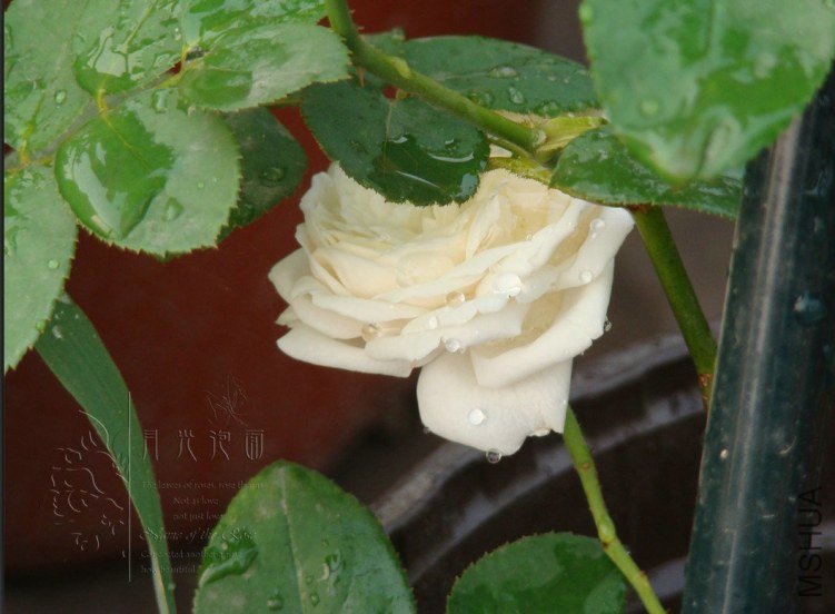 QQ��ͼ20120619155143.jpg
