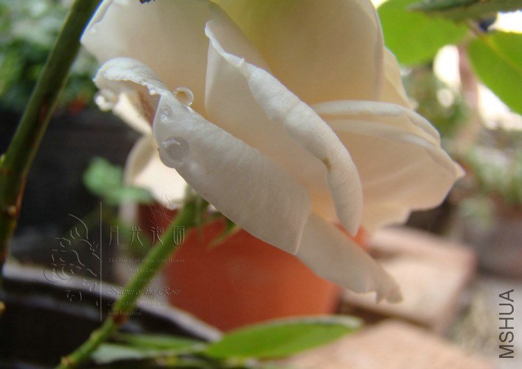 QQ��ͼ20120619155335.jpg