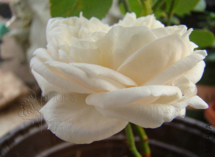 QQ��ͼ20120619155346.jpg
