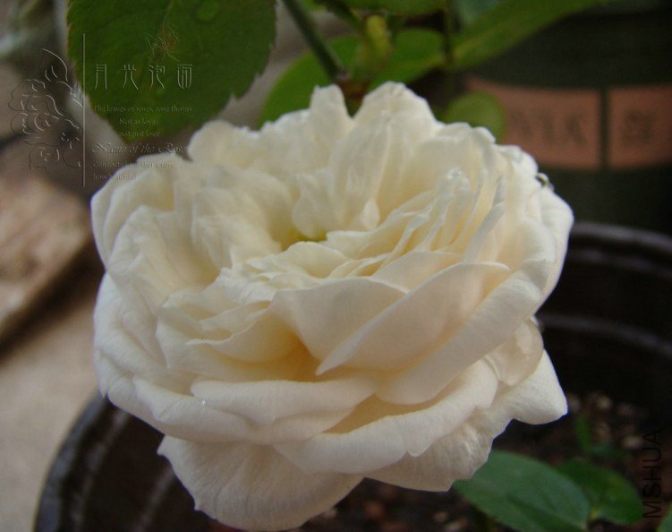 QQ��ͼ20120619155353.jpg