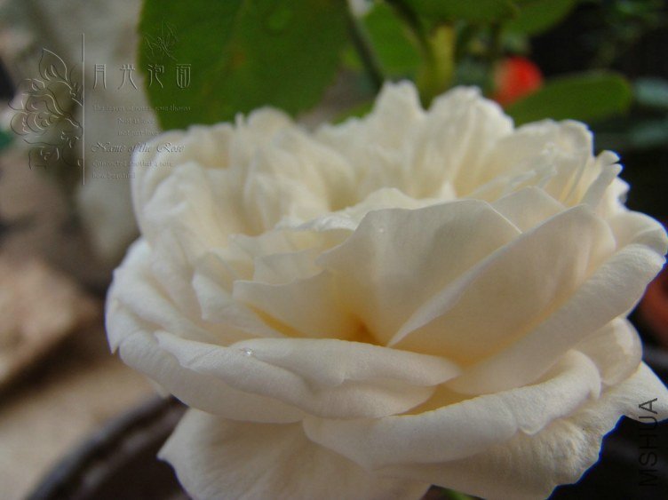 QQ��ͼ20120619155401.jpg