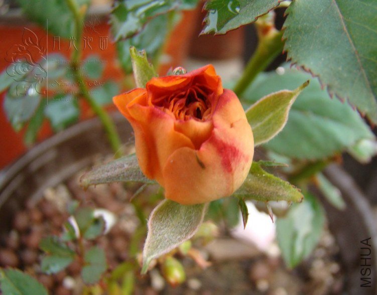 QQ��ͼ20120619155411.jpg